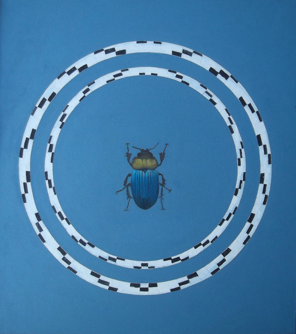 Mistkäfer 2 - Skarabaeus