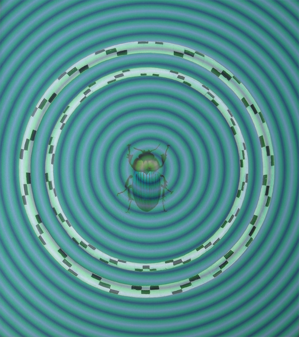 Mistkäfer 2 - Skarabaeus