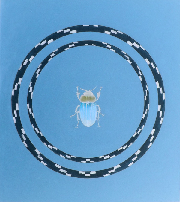 Mistkäfer 2 - Skarabaeus