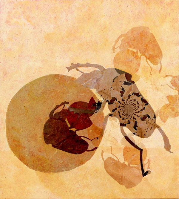 Mistkäfer - Skarabaeus