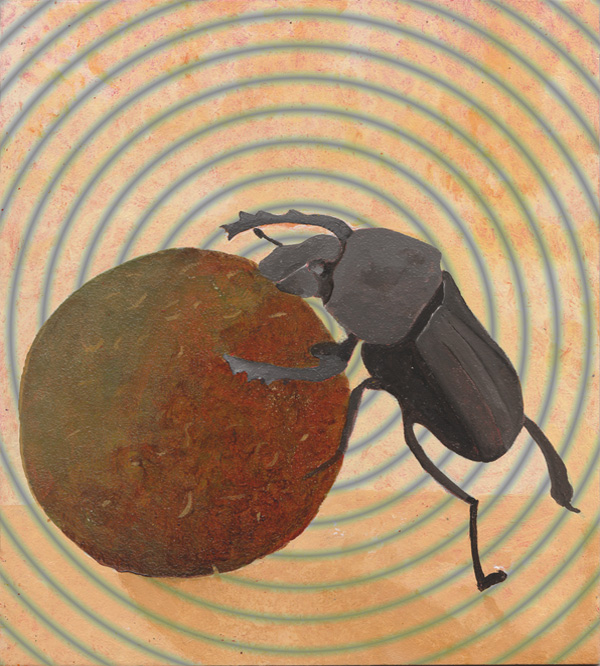 Mistkäfer - Skarabaeus