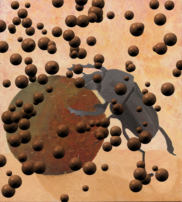 Mistkäfer - Skarabaeus